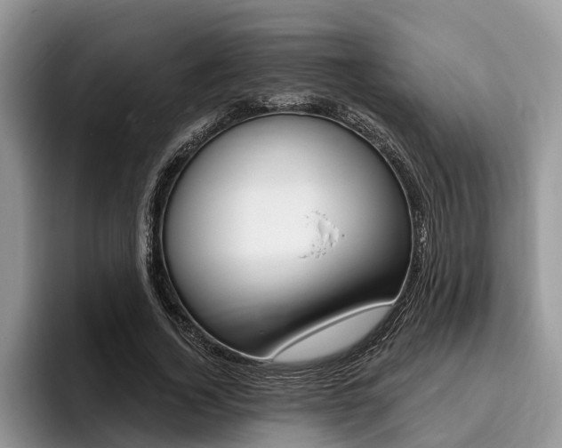 X0000096170732200801180829