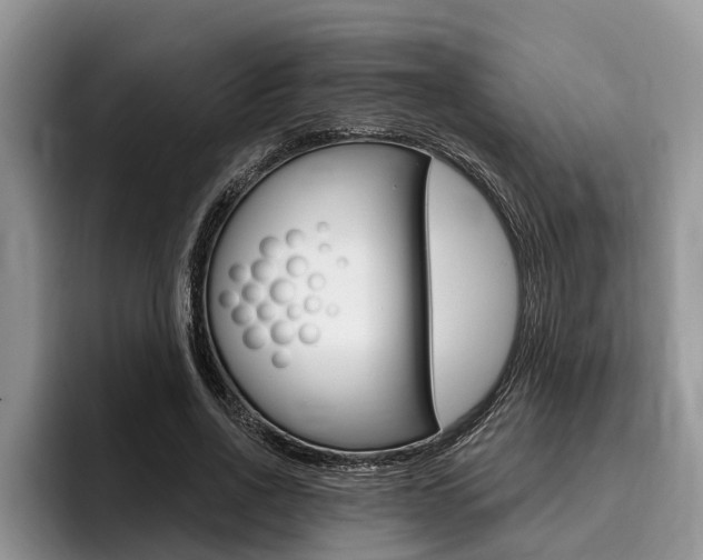 X0000096170734200801180829