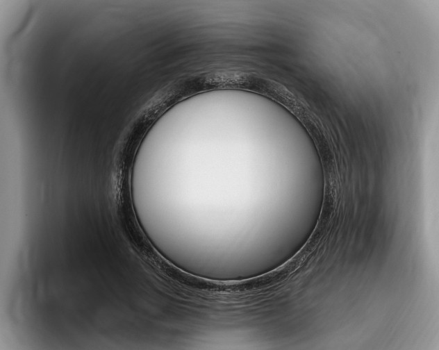 X0000096170735200801180829