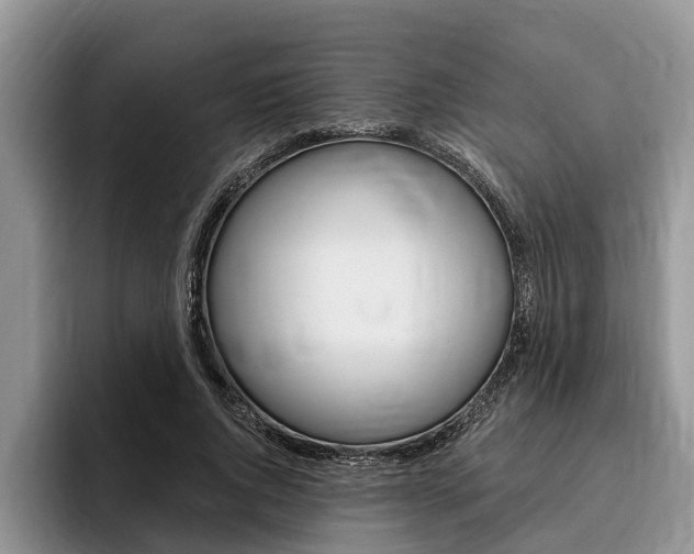 X0000096170736200801180829