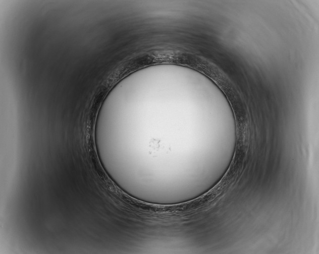 X0000096170737200801180830