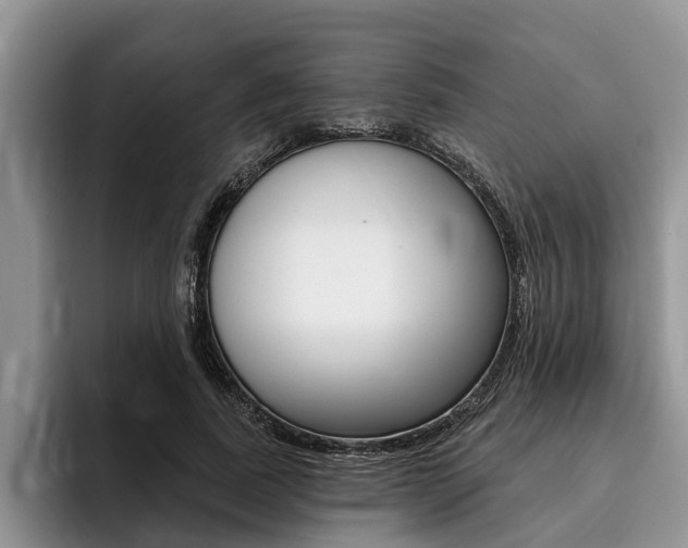 X0000096170739200801180830