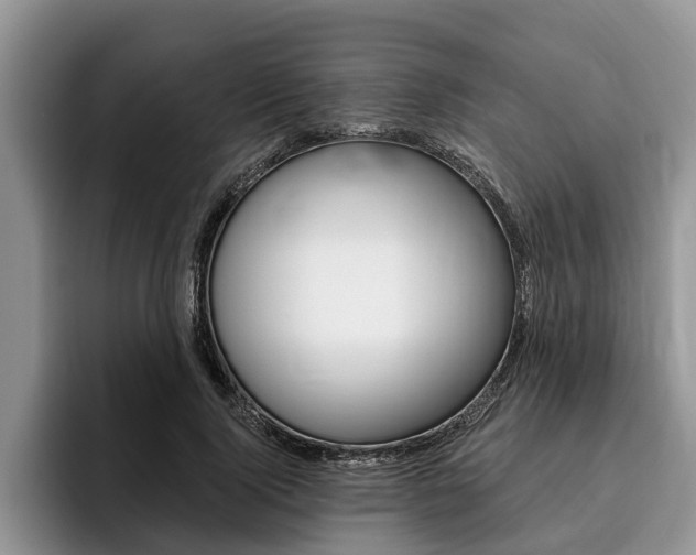 X0000096170740200801180830