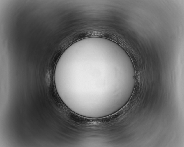 X0000096170741200801180830