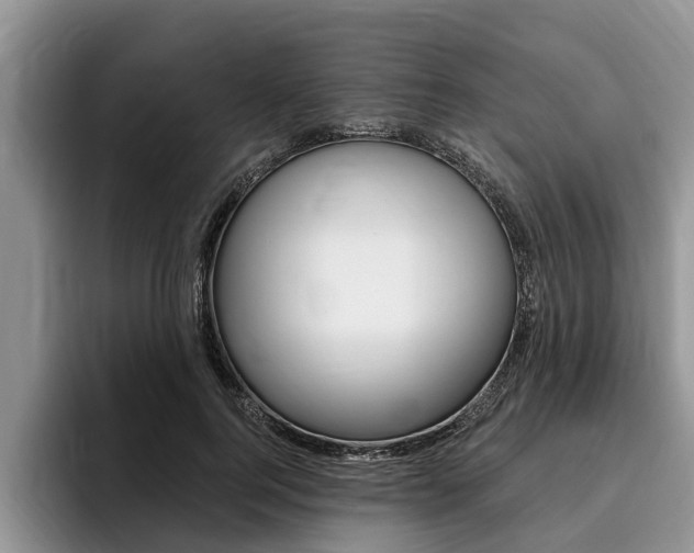 X0000096170744200801180830