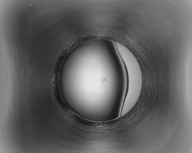X0000096170750200801180830