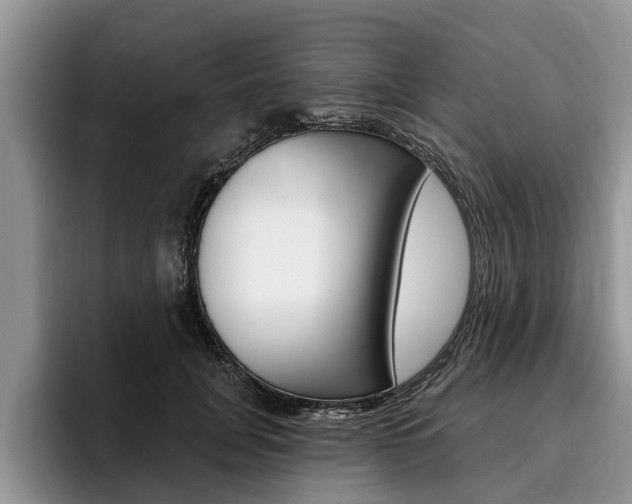 X0000096170751200801180830