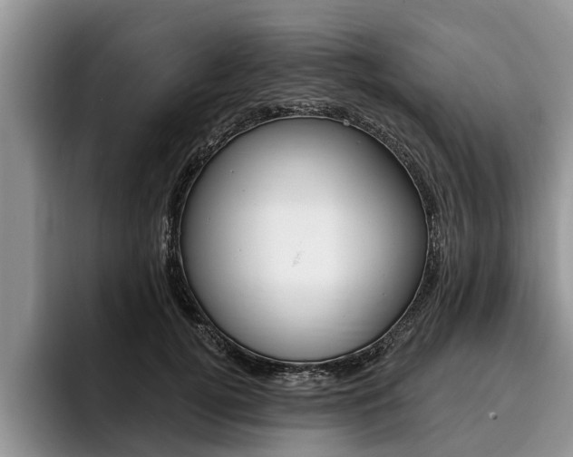 X0000096170752200801180830