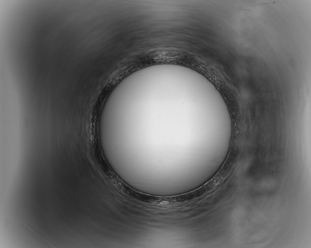 X0000096170755200801180830