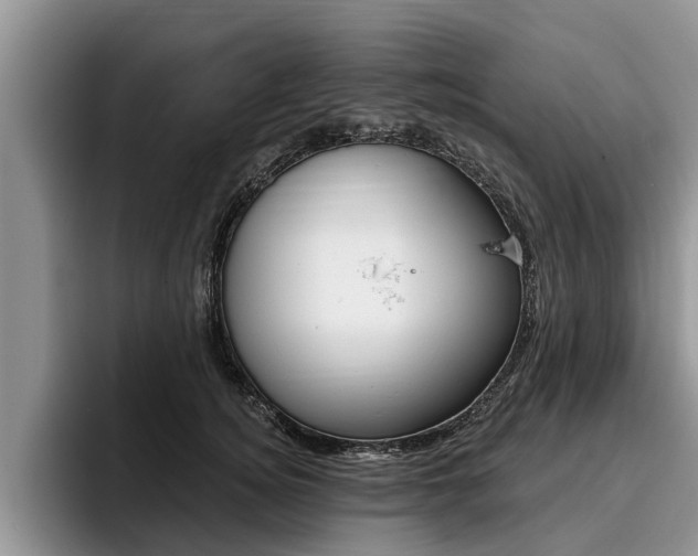 X0000096170756200801180830