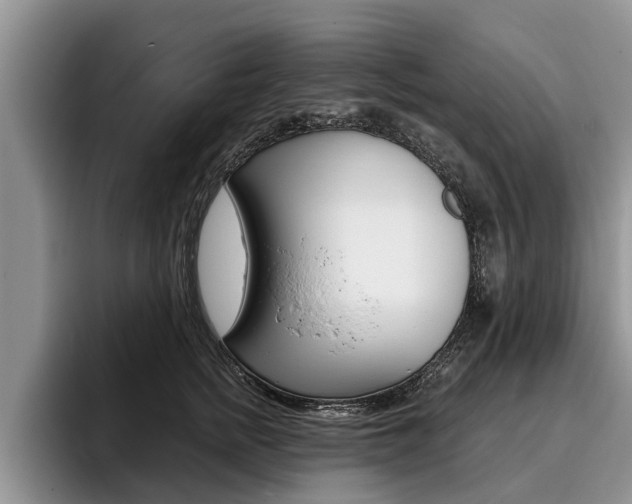 X0000096170758200801180830