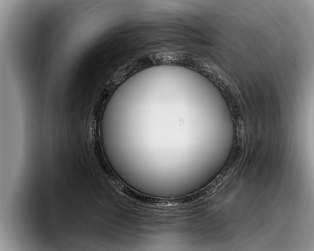 X0000096170760200801180830