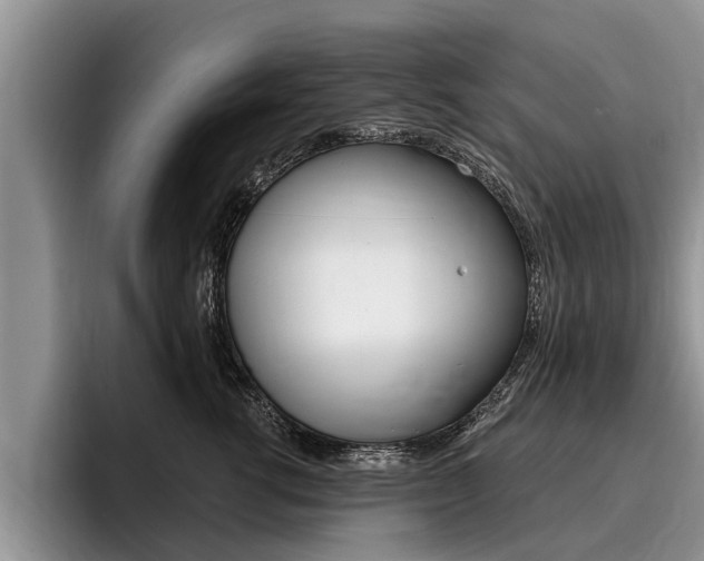 X0000096170762200801180830