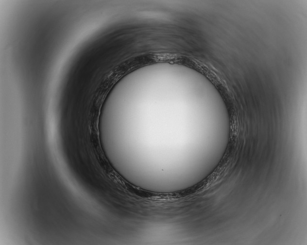 X0000096170763200801180830