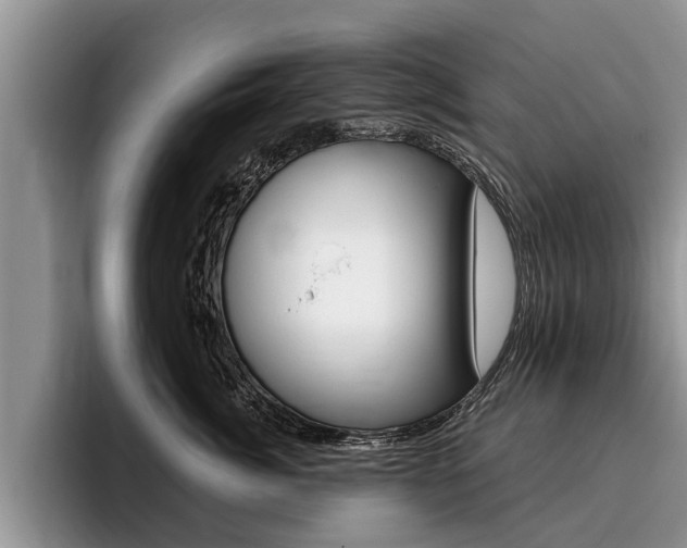 X0000096170764200801180830