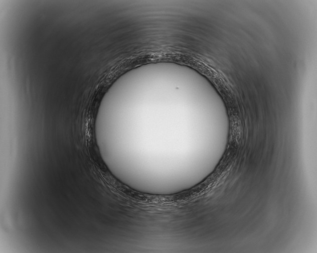 X0000096170770200801180829