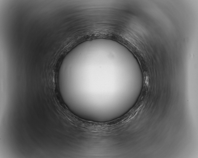 X0000096170771200801180829