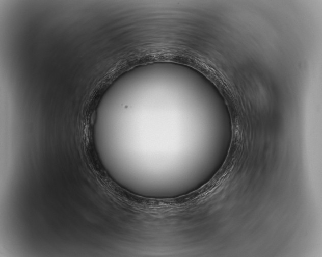 X0000096170772200801180829