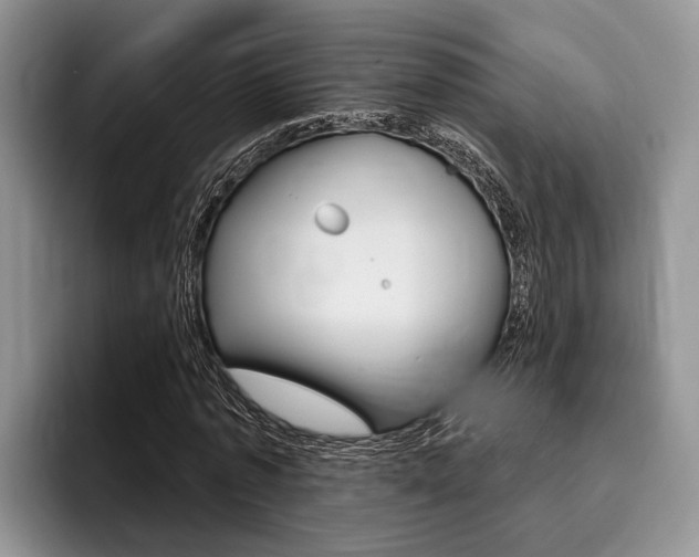 X0000096170773200801180829