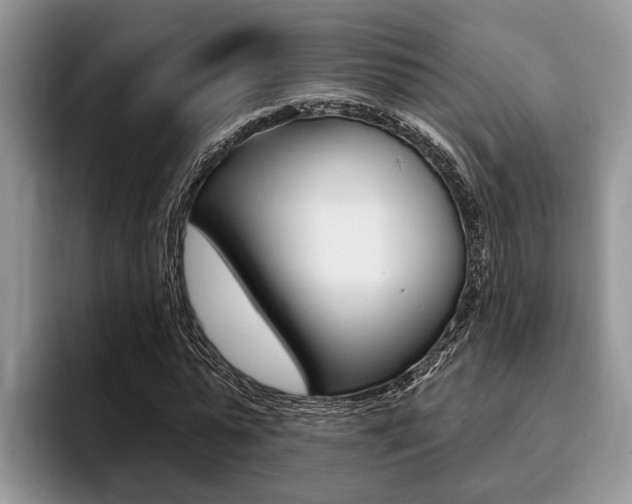 X0000096170775200801180829