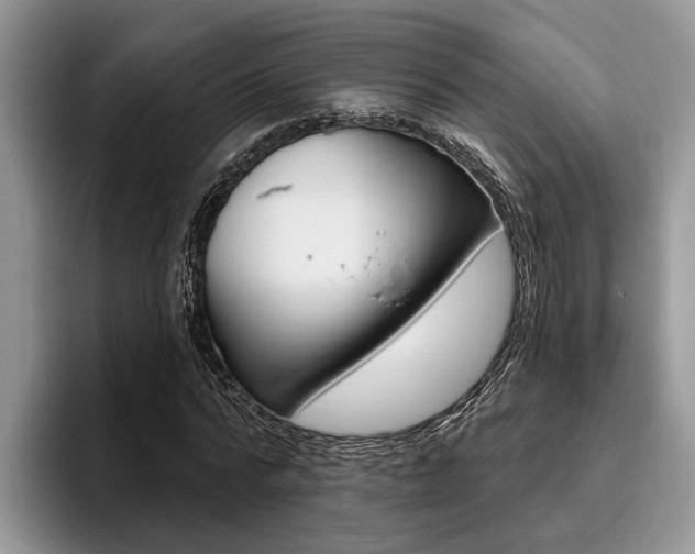 X0000096170776200801180829