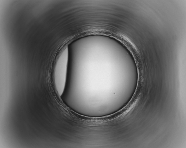 X0000096170777200801180829