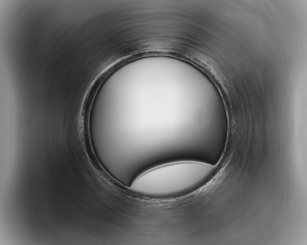 X0000096170779200801180829