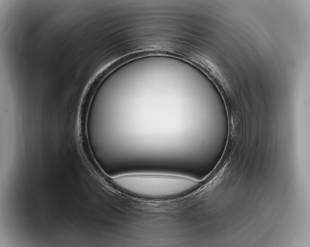 X0000096170780200801180829