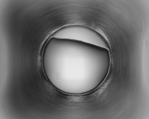 X0000096170781200801180829