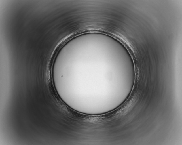 X0000096170782200801180829