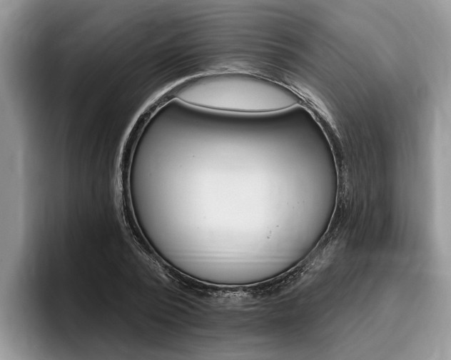 X0000096170784200801180829