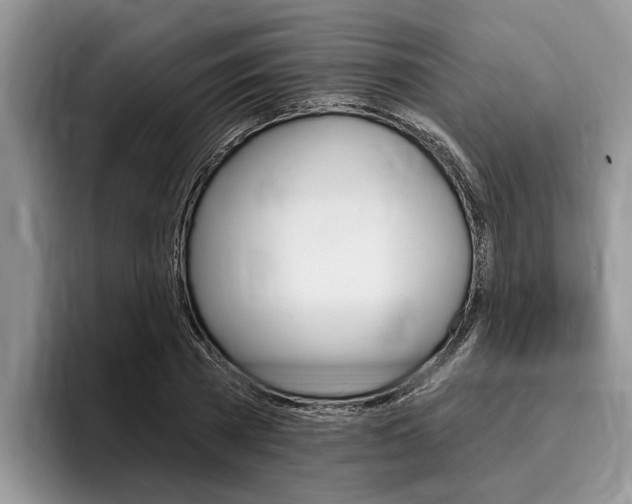 X0000096170785200801180829