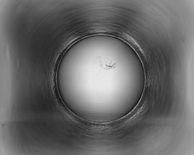 X0000096170786200801180829