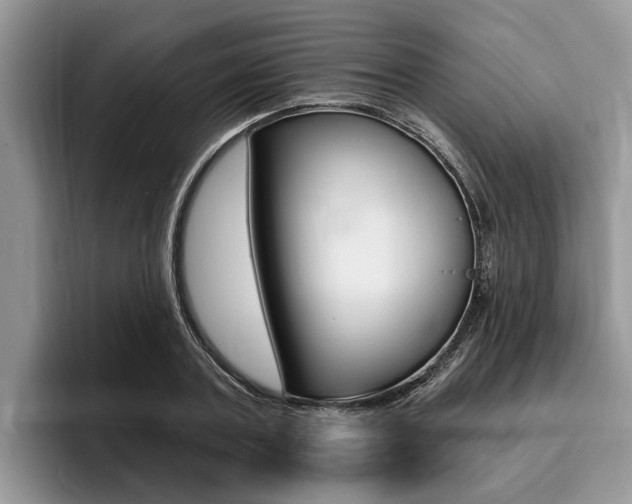 X0000096170787200801180829