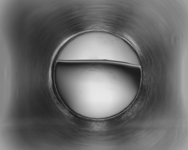 X0000096170788200801180829