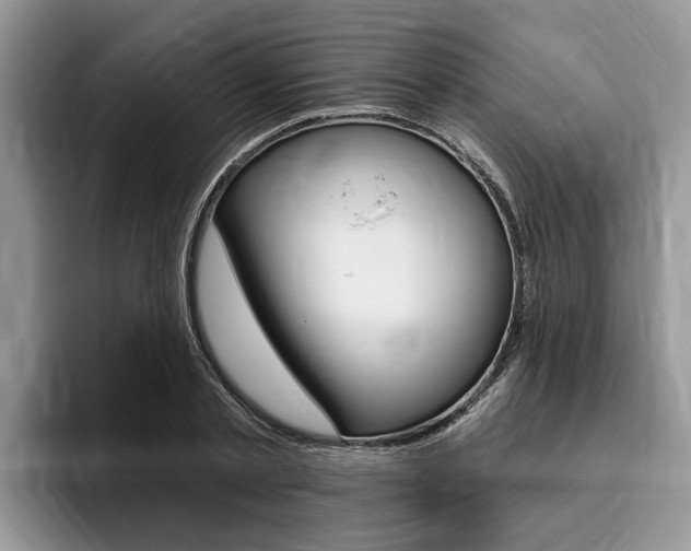 X0000096170789200801180829