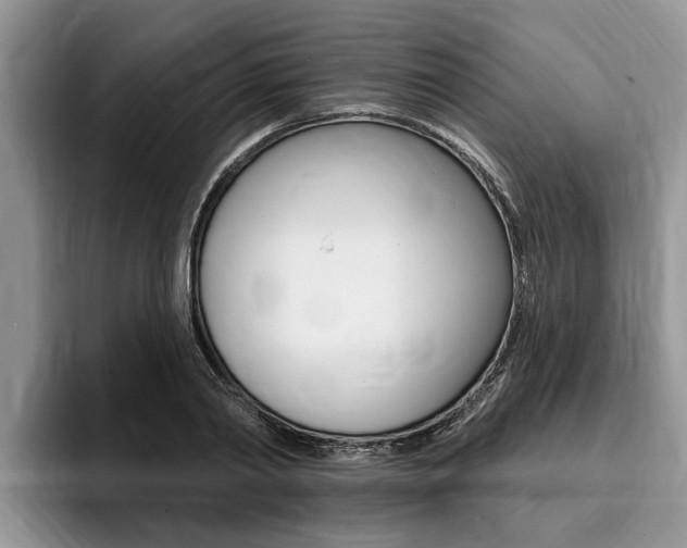 X0000096170790200801180829