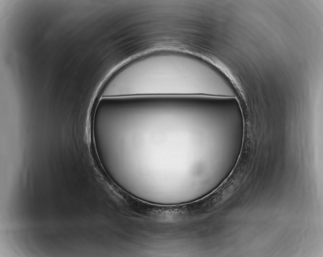 X0000096170791200801180829