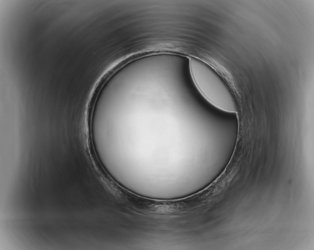 X0000096170792200801180829