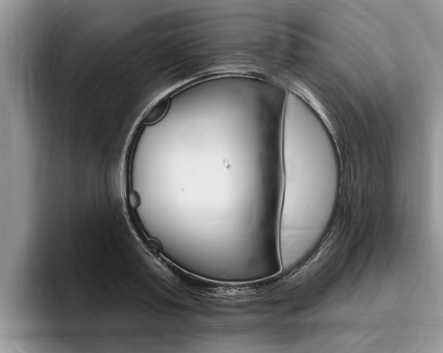 X0000096170795200801180829