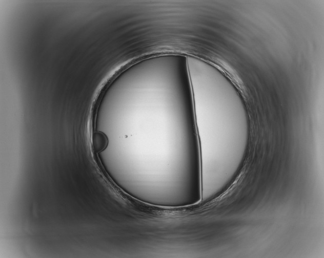 X0000096170796200801180829
