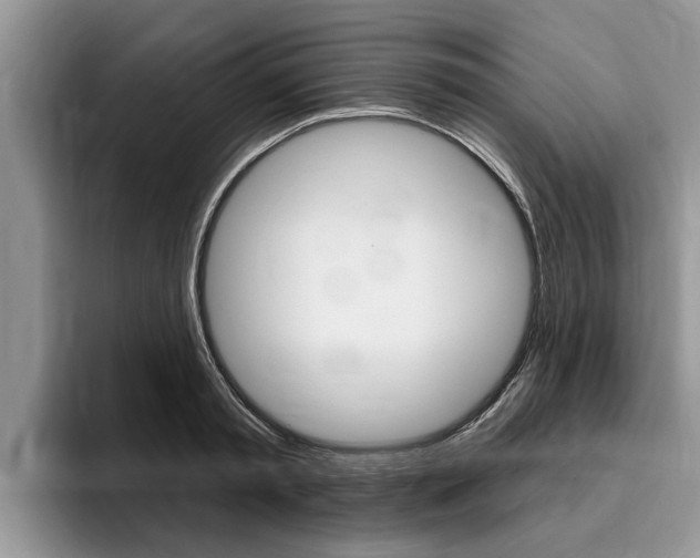 X0000096170797200801180829