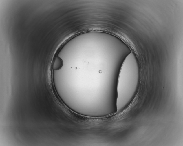 X0000096170798200801180829