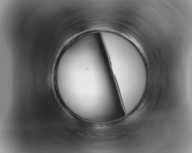 X0000096170799200801180829