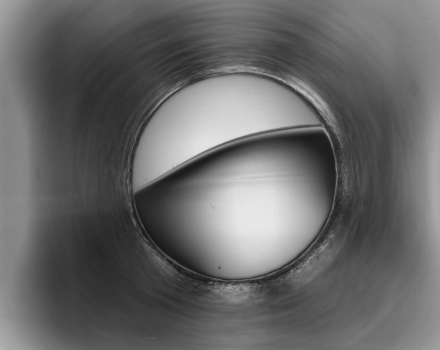 X0000096170801200801180829
