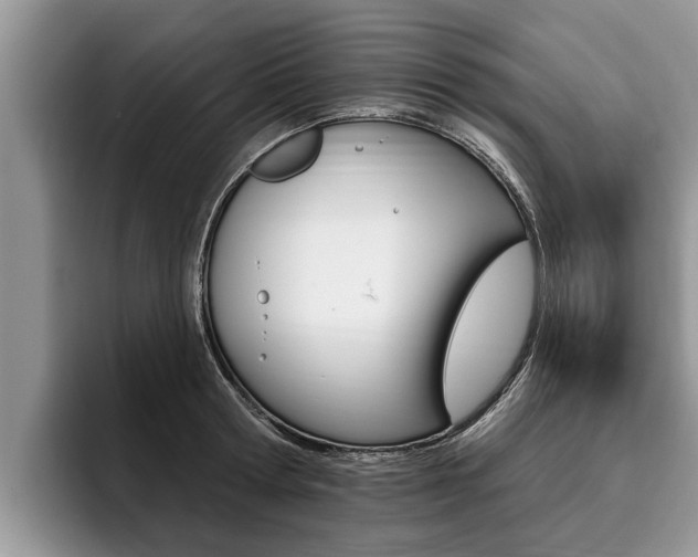 X0000096170802200801180829