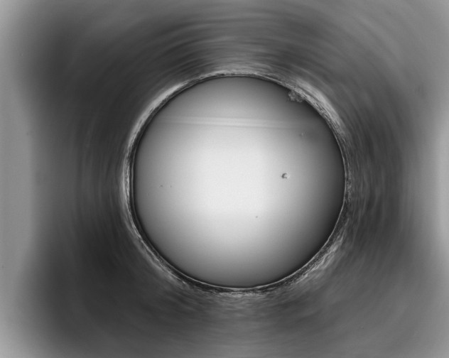 X0000096170804200801180829