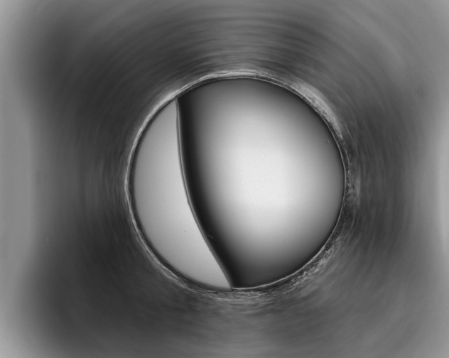 X0000096170805200801180829