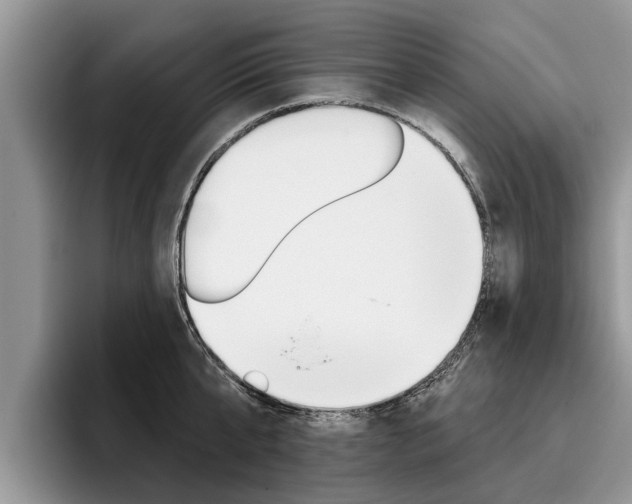 X0000096170807200801180829