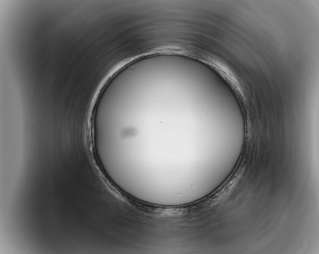 X0000096170808200801180829
